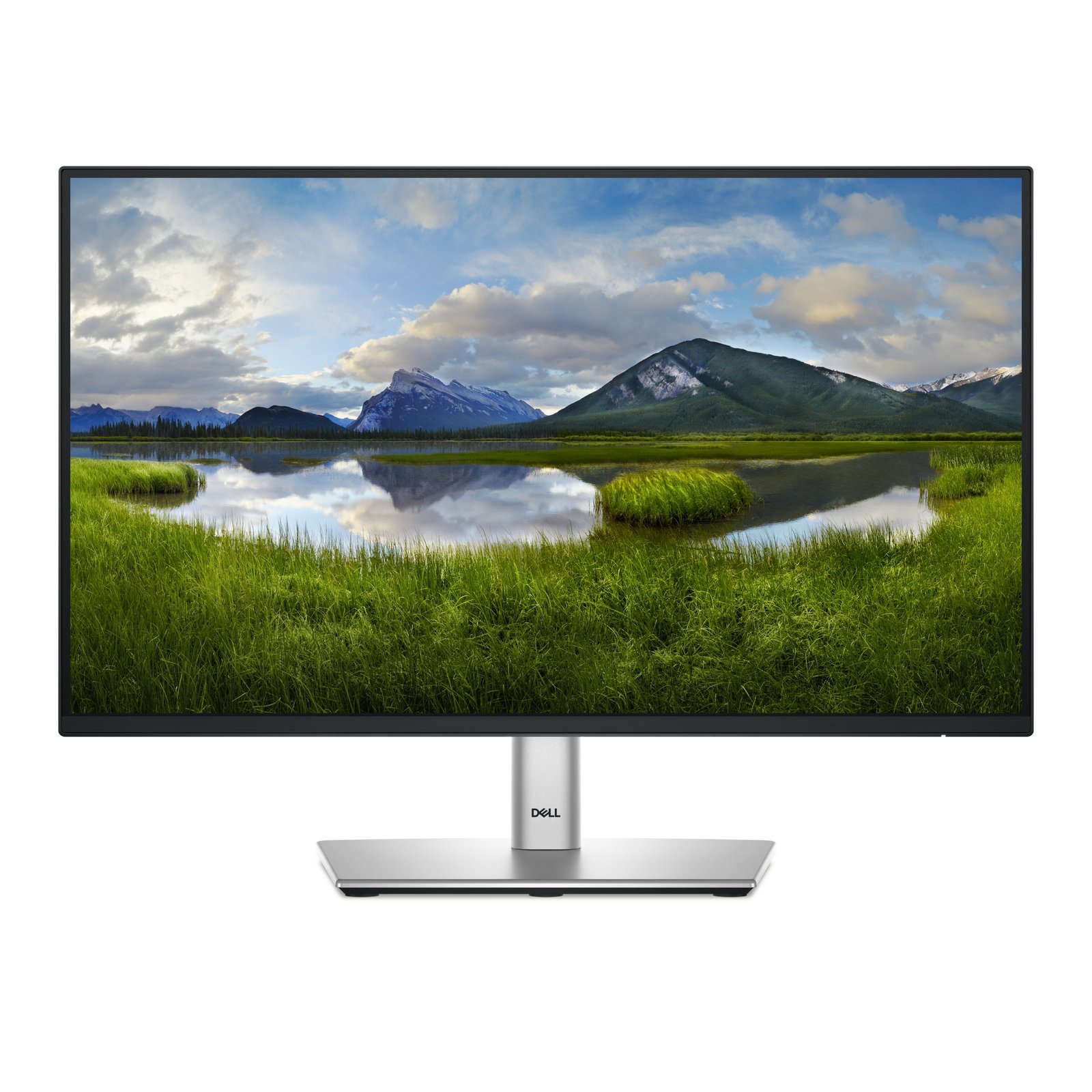 DELL P Series P2225H computer monitor 54.6 cm (21.5") 1920 x 1080 pixels Full HD LCD Black, Silver DELL-P2225H
