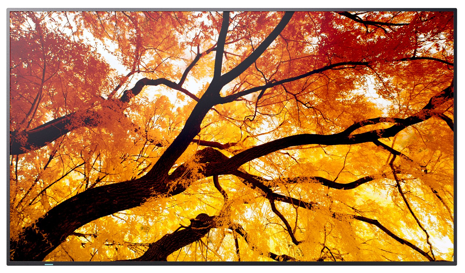 View 2