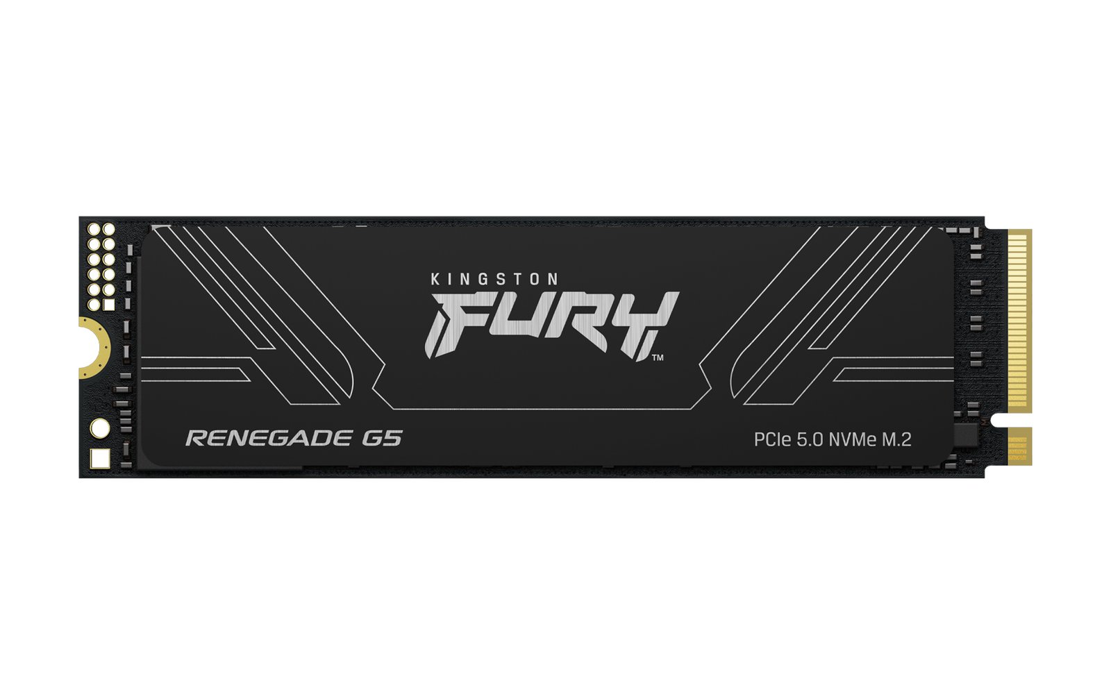 Kingston Technology 1T FURY RENEGADE G5 M.2 2280 NVMe SSD SFYR2S/1T0