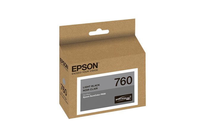 EPSON PRINT 760 ink cartridge Original Light black EPS-T760720