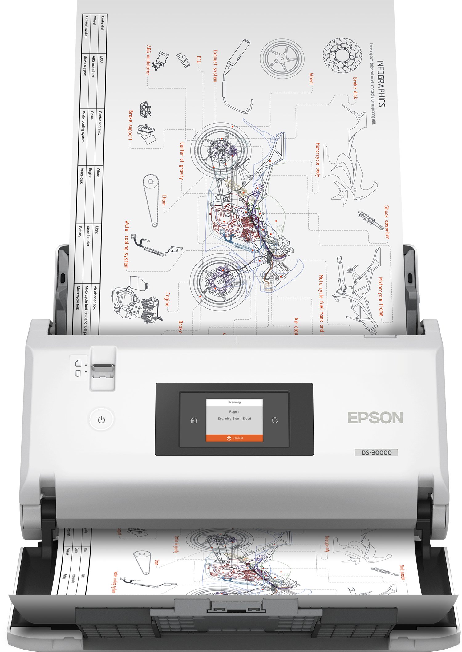 Epson DS-30000 Sheet-fed scanner 600 x DPI A3 White EPS-B11B256201