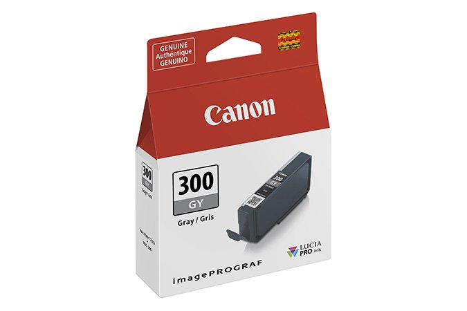 CANON INKJET PFI-300 ink cartridge 1 pc(s) Original Grey CAN-4200C002
