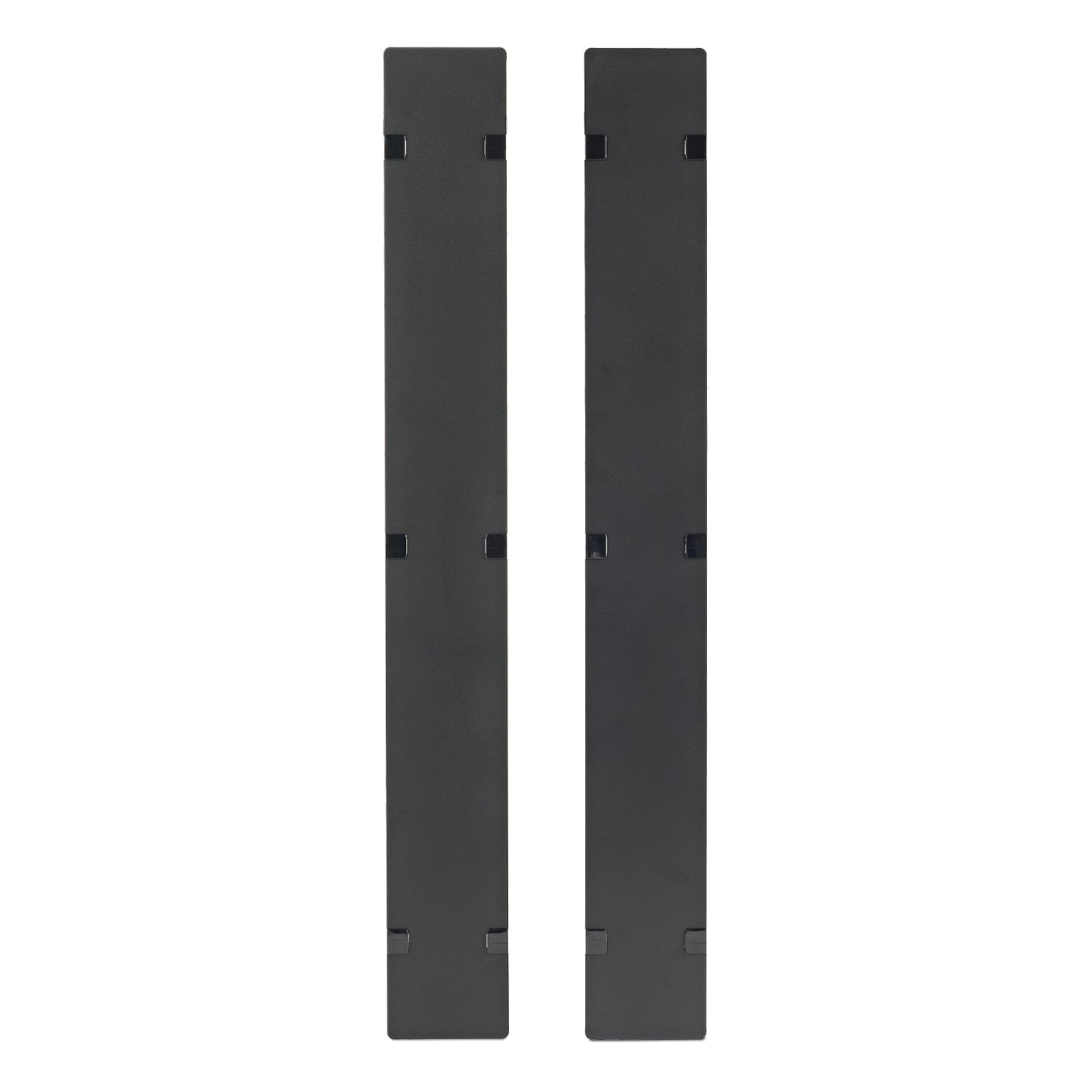 APC by Schneider Electric NetShelter Cable Management, Vertical Manager, Hinged Covers, for SX AR7586
